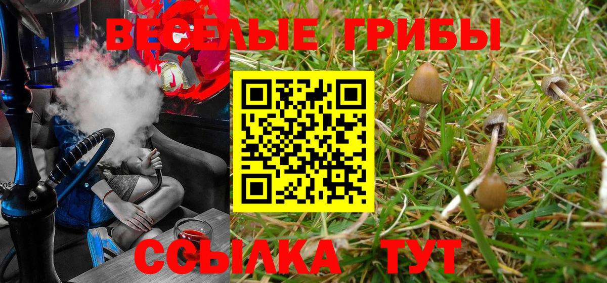 Галлюциногенные грибы Cubensis  Псилоцибиновые грибы GOLDEN TEACHER  Шелехов  Вход с VPN 