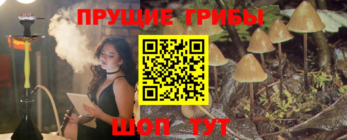 Галлюциногенные грибы Magic Shrooms Шелехов