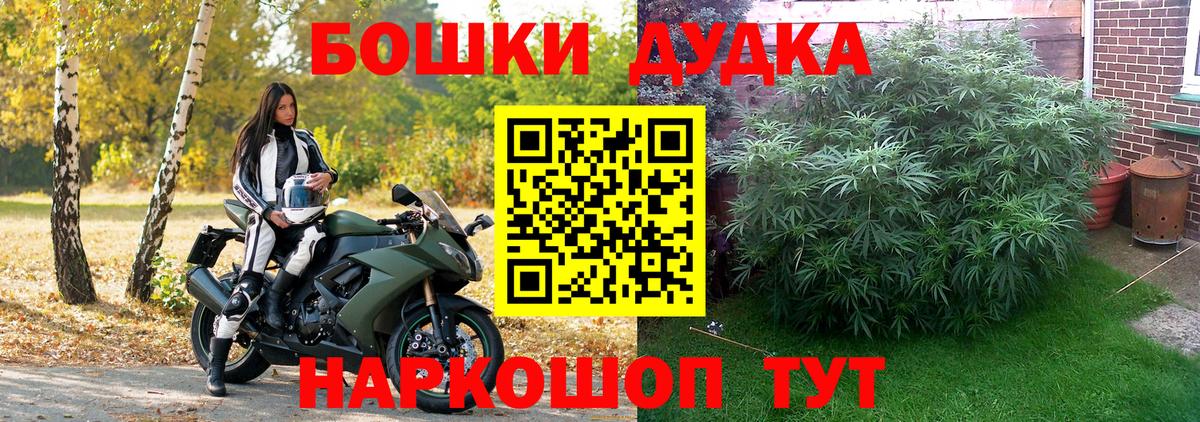 Марихуана планчик  Бошки Шишки индика  Вход с VPN  Шелехов  Канабис MAZAR 